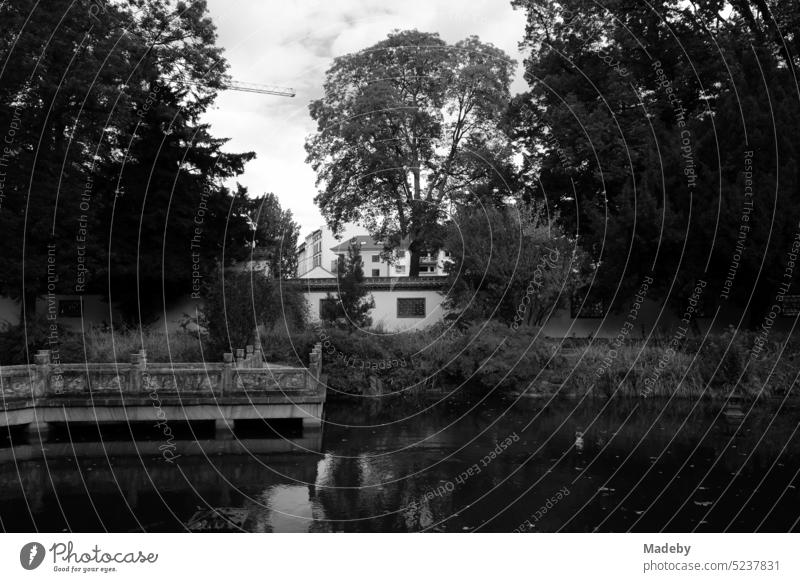 Pond with platform for visitors and old wall in Chinese Garden in Bethmann Park at Merianplatz on Berger Street in North End of Frankfurt am Main in Hesse in neorealistic black and white