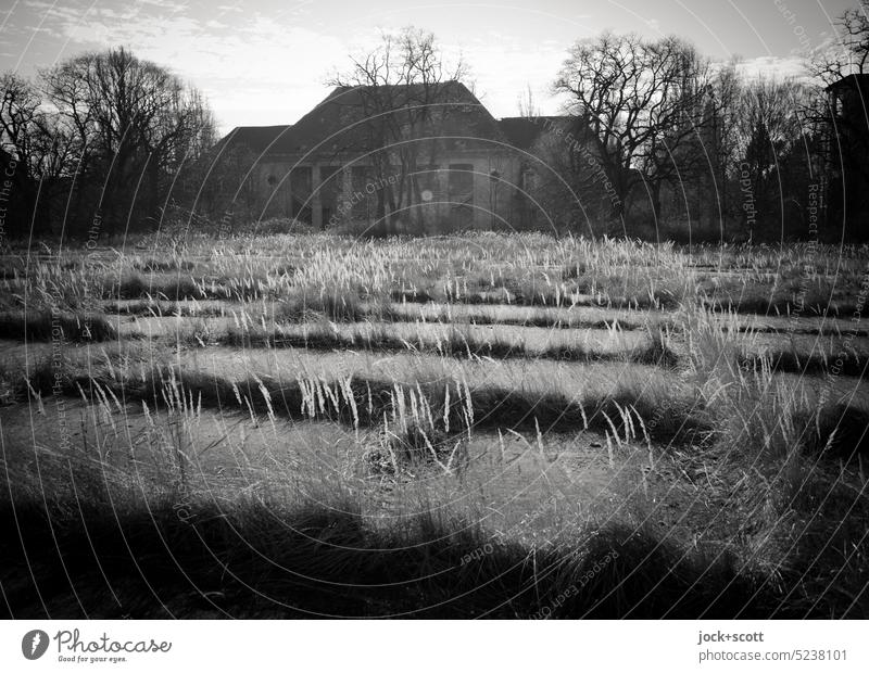 Old camp abandoned and overgrown lost places Ruin Apocalyptic sentiment Change Military building Places Overgrown Monochrome Nature Decline renaturation