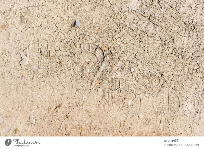 Footprint | Traces topic day shoe prints footprints Ground Lanes & trails Tracks Exterior shot Deserted Shoe Imprint Track Imprint track Shoe print track