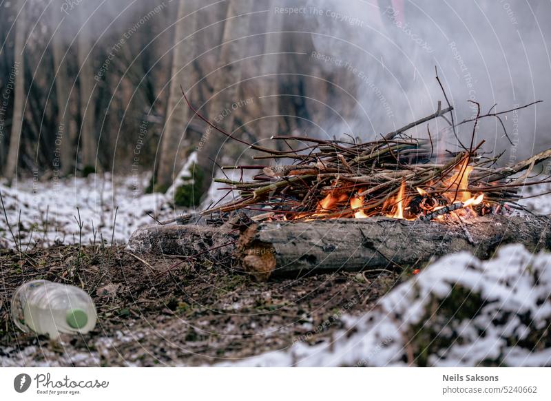 A bonfire burns in the woods on a cold winter day. autumn background bright brown camp campfire embers energy environment firewood flame flammable forest glow