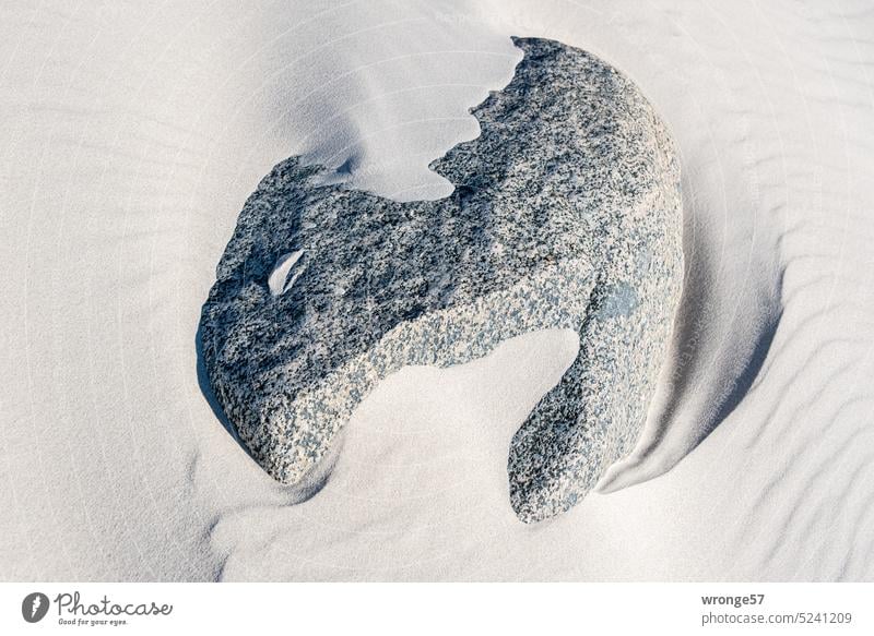 Erratic block on the beach of the Baltic Sea rock Stone big stone Sand Sandy beach foundling Baltic beach wind tracks Baltic coast Nature Beach Exterior shot