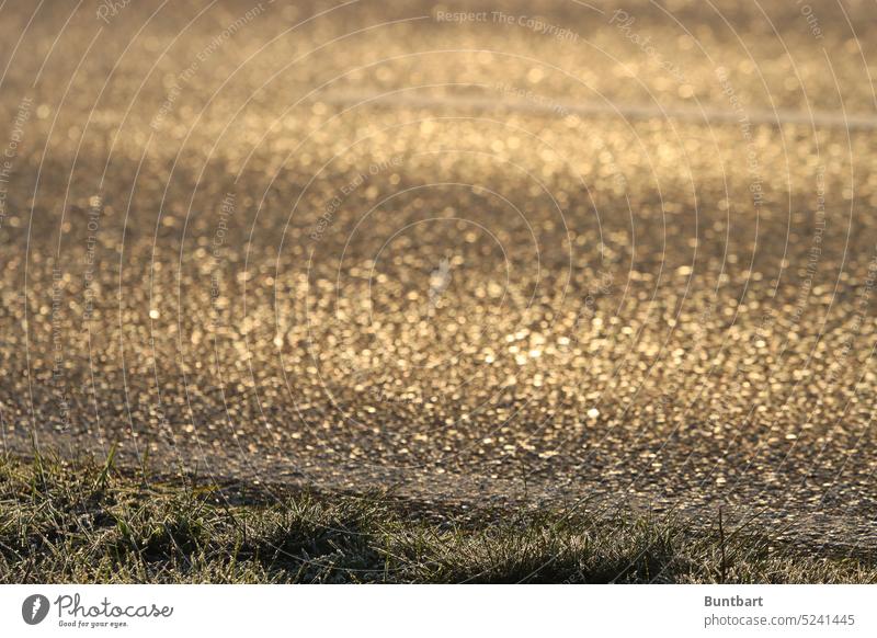 Asphalt glittering with gold shining like gold gold glitter golden Street Lanes & trails Roadside Grass Traffic lane Line Country road Lane markings Light