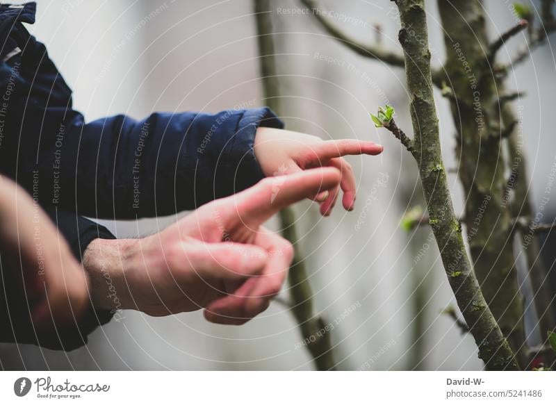 Father shows child growing plants in spring Child Spring Nature Growth buds Explain Indicate Parents Garden Parenting Environment Plant Blossom Tree hands