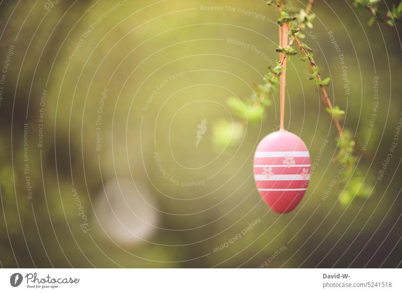 Easter egg hanging on a branch in the garden Easter decoration Spring Early spring Easter eggs Egg Decoration Green Garden Hang colorful eggs