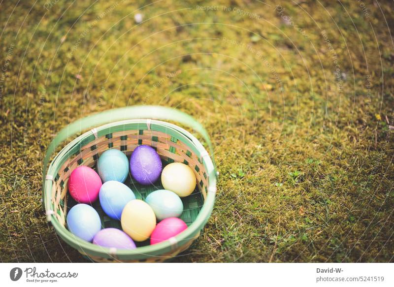 Basket with colorful Easter eggs for Easter Easter egg nest variegated Moss Spring spring feeling colorful eggs Decoration Tradition