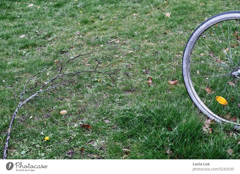 Outing in the countryside, cut bicycle in the lawn, with broken branch Green Cycling Road traffic Exterior shot Deserted Day Town Street Bicycle idyllically