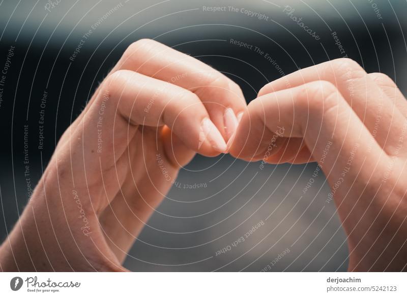 Two hands show a heart. Hand Child Cute pretty Close-up Fingers Human being To hold on Exterior shot Day Trust Colour photo Touch Detail Sympathy Love Heart