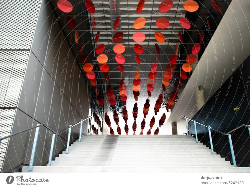 A representative staircase, with reflection. Staircase Stairs rail Architecture Go up Building Wall (building) House (Residential Structure) Deserted Upward