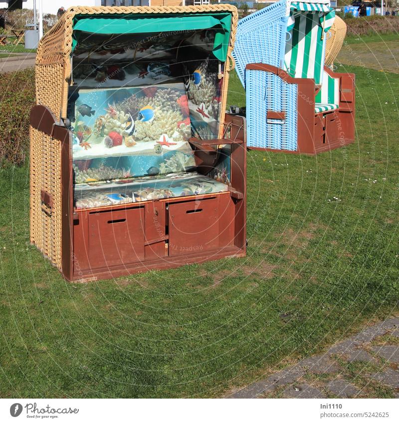 Beach chair with sea feeling vacation Helgoland beautiful weather sunshine sunbathing meadow two beach chairs Appealing relax Combat Craft (trade) light blue