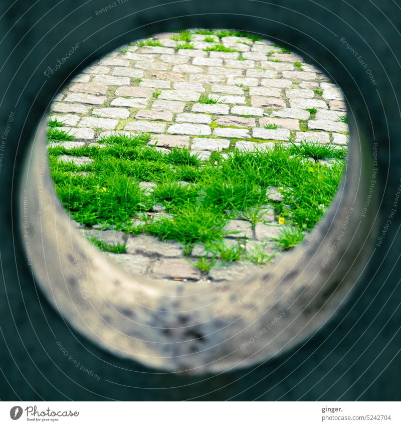 Seeing through the concrete jungle Hollow Round Vista see through Concrete Circle blurriness Exterior shot Colour photo Day Deserted Light Wall (barrier)