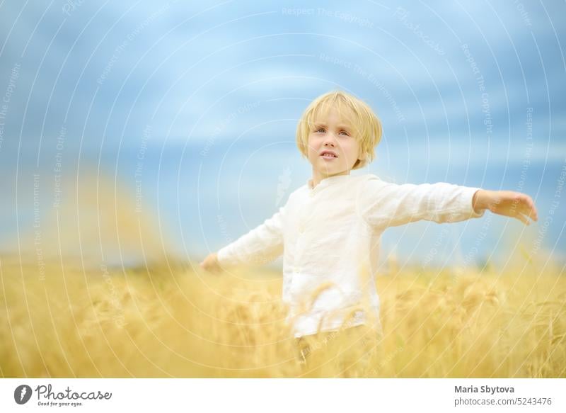 Pray for Ukraine. Child is on the background of bly sky and yellow wheat field. Background have colors of the Ukrainian flag. Concepts of peace and independence.