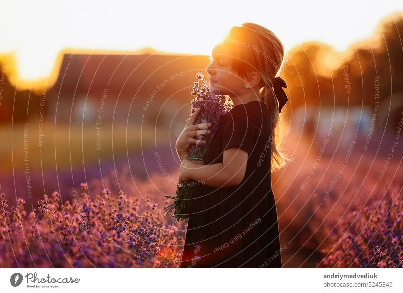 Portrait of a cute girl is smelling a lavender flowers. A child is walking in a field of lavender on sunset. Kid in black dress is having fun on nature on summer holiday vacation.