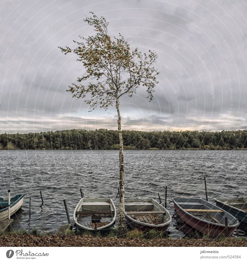 rear lake Nature Landscape Water Sky Clouds Autumn Weather Bad weather Wind Tree Lakeside Rowboat Birch tree Forest Waves bank Colour photo Exterior shot