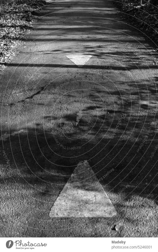 Directional arrows marking the bumps on the paved part of the Hermannsweg in sunshine on the Kammweg in Oerlinghausen near Bielefeld in the Teutoburg Forest in East Westphalia-Lippe in neo-realistic black and white