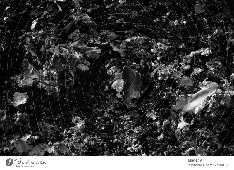 Cold fireplace with illegal garbage burning in springtime in sunshine at Barkhauser Weg between Oerlinghausen and Asemissen near Bielefeld in Teutoburg Forest in East Westphalia-Lippe in classic black and white