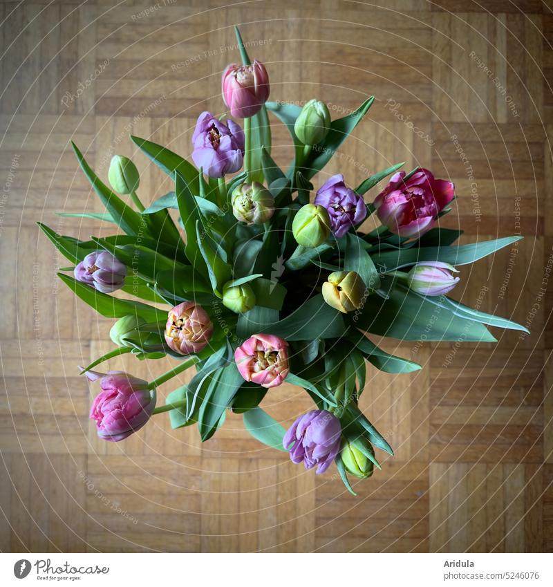 Colorful bouquet of tulips Spring Flower Blossom Tulip Plant Bouquet Decoration Tulip blossom pretty Vase floor Oak parquet Parquet floor pastel Pink purple