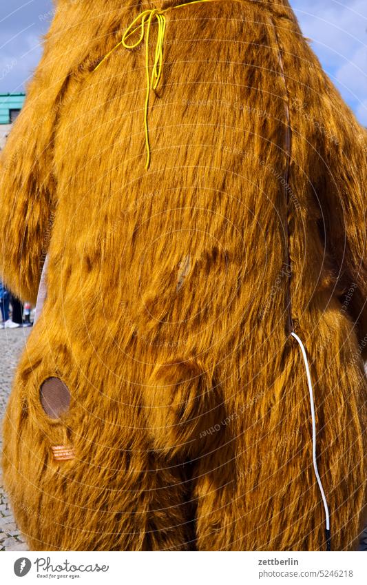 Bear from behind Berlin Bear Heraldic animal Tourism tourism Animal cuddly toy photo motif Marketing berlinmarketing Pelt Soft Brown bear brown bear Cable