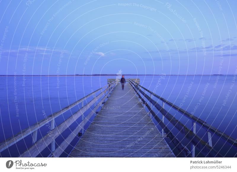 catwalk Footbridge Woman Movement jetty born on the darss Baltic Sea vacation travel Water Bodden blue hour Sky water long exposure