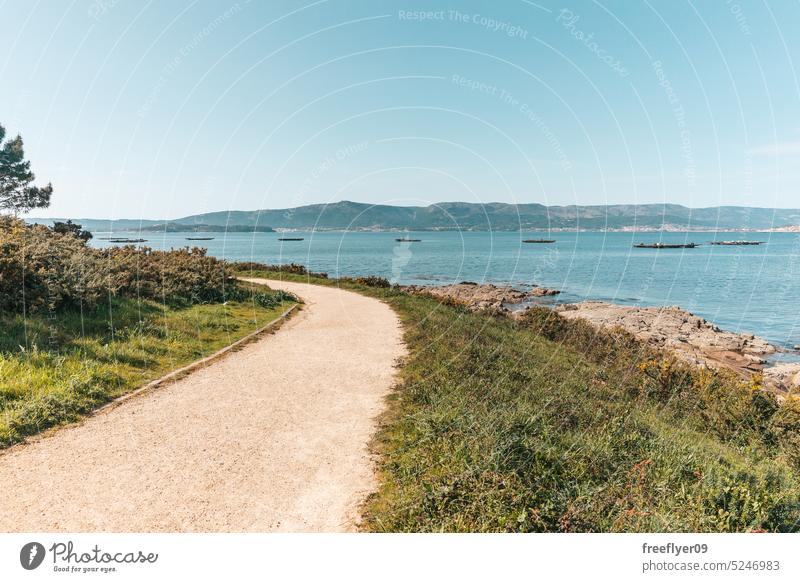 Dirt road through a forest by the sea nobody copy space dirt road path galicia walk pinecone ocean travel hiking people asset pathway lifestyle leisure activity