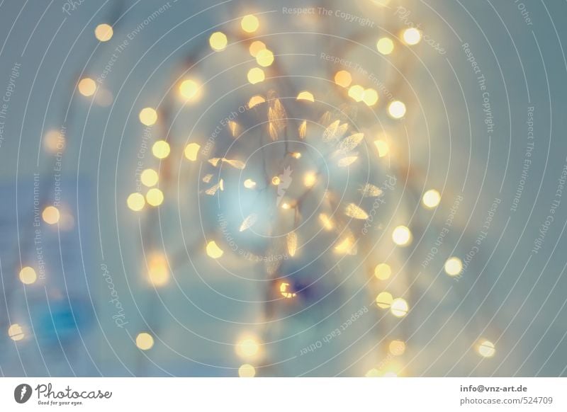 lights Elegant Feasts & Celebrations Christmas & Advent New Year's Eve Blue Fairy lights Moody Sphere Hover Colour photo Interior shot Studio shot Detail