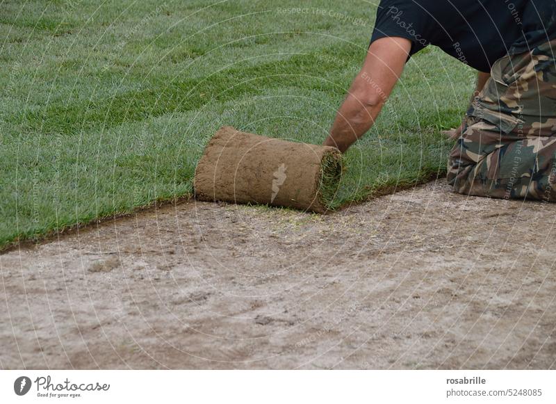 I lay a lawn at your feet Lawn roll Craft (trade) Working man work labour Gardener Grass Roll Roll out Green Nature naturally help Landscape landscape gardener