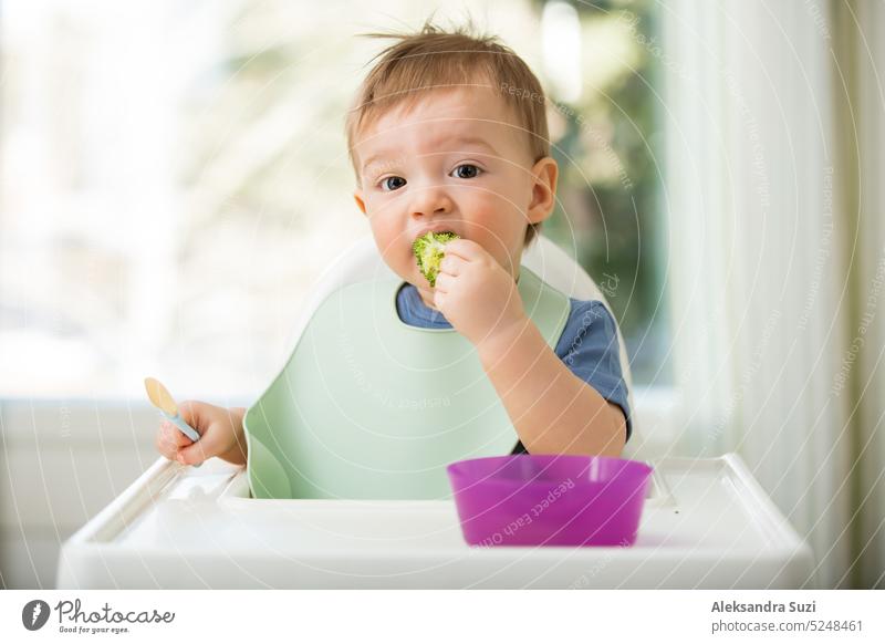 Cute baby eating first solid food, infant sitting in high chair. Child tasting vegetables at the table, discovering new food. Cozy kitchen interior. Healthy food concept.