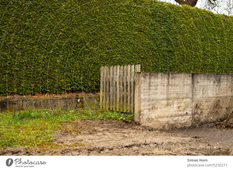 Hedge, fence and wall Barrier Fence Wall (barrier) Structures and shapes Screening Lanes & trails Entrance open a door cordon Construction Pattern Abstract