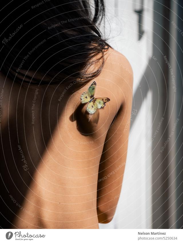 Girl with a butterfly tattoo sticker on her back elegant graphic look animal body skin beauty pretty people style human girl make-up little stylish hand small