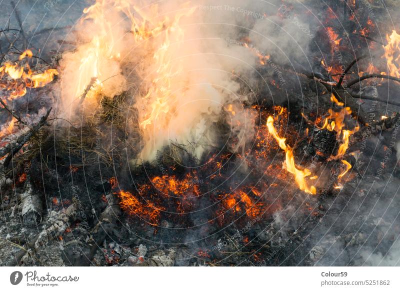 Fire with smoke ash campfire Burn Black Burnt Wood Hot Flame Charcoal Red background White cauterizing Outdoors Gray Coal Close-up Leaf Ashes Nature Blaze