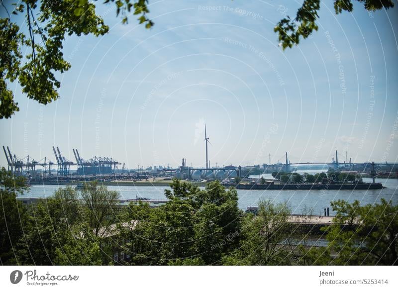 Port of Hamburg Elbe Harbour Trade Transport Dockside crane Logistics Town Port City Vantage point romantic cranes Architecture Work and employment review Tree