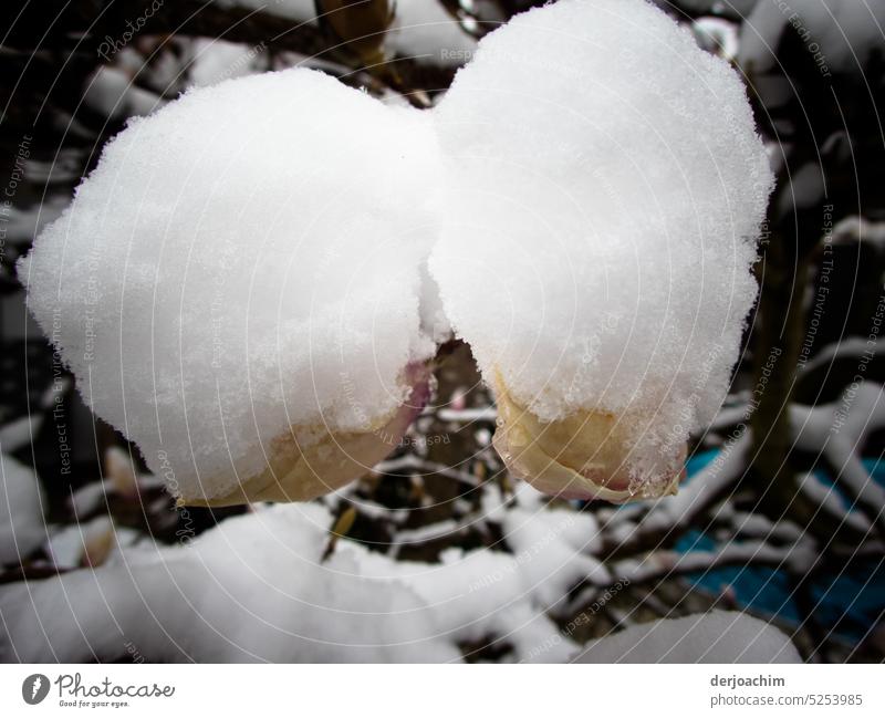 Picture disturbance/ Sudden snowfall.  Will it be spring soon. snow-covered Winter mood chill White winter Winter's day Snow Cold Snow layer Freeze Landscape