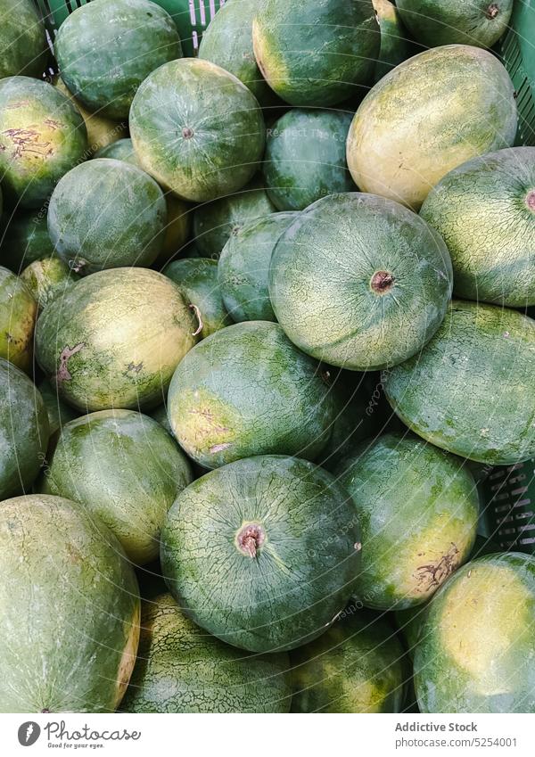 Pile of watermelons at farmer market pile ripe fresh season local stall food vitamin rustic whole yummy harvest australia gourmet healthy food delicious organic