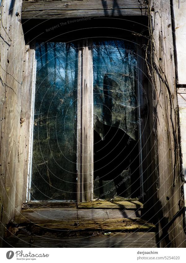 Traces of time / old rotten window frame, shattered glass but the sun conjures up a bit of a blue tint on the rest of the glass. Window pane Close-up