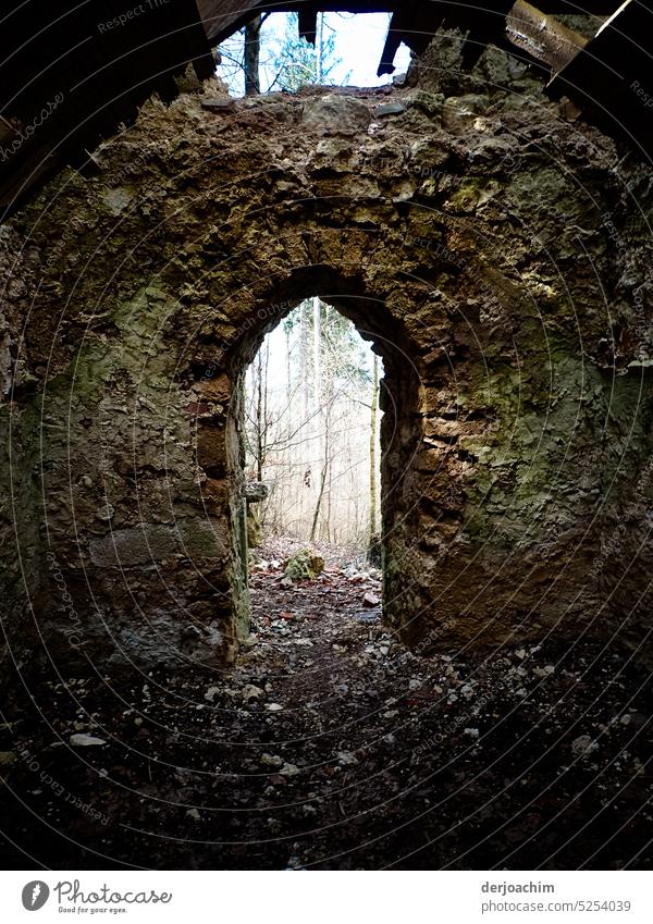 An old crumbling chapel in the middle of the forest. Ruin, Broken House (Residential Structure) Wall (barrier) Destruction Decline Old Wall (building)