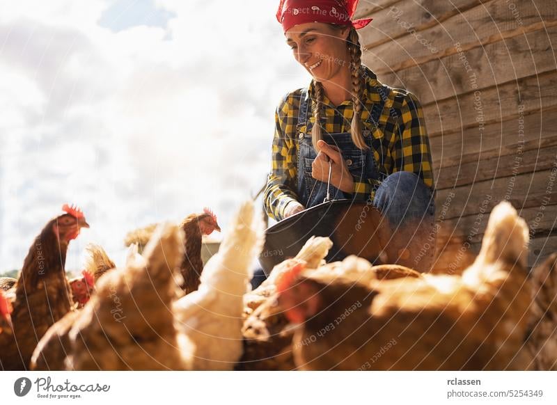 Proud chicken famer woman with bucket feeding chickens at the farm outside production guard corn farming work person farmer germany countrywoman easter egg