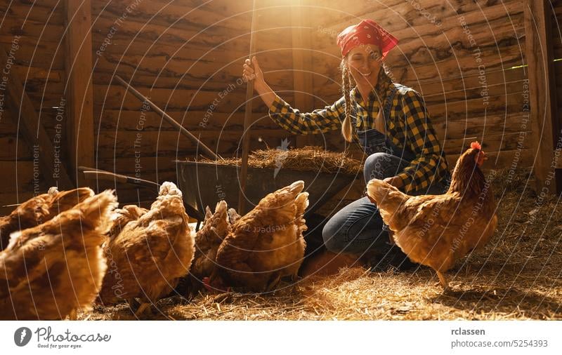 Proud chicken farmer woman guarding her hens in a henhouse production corn feed farming work person germany countrywoman easter egg industry chickens bio farmer