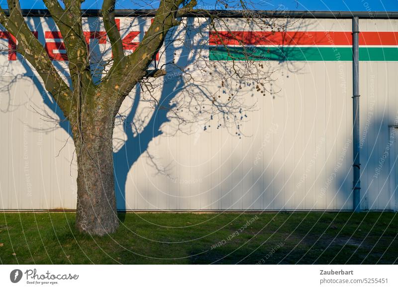 Bald tree casts shadow on facade of functional building with color stripes Tree Bleak Shadow Sun Facade White sober factual newtopography antagonism Building