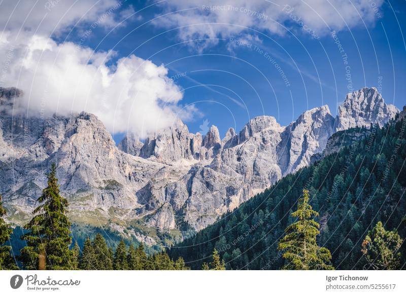 Val Venegia, Pale di San Martino, Italian Dolomites, Italy pale venegia martino UNESCO db val Nature Landscape Mountain naturally Summer view Trentino Meadow