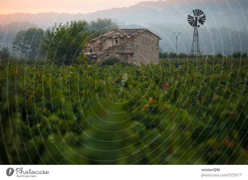 French Style XXI Environment Nature Landscape Esthetic Contentment Dreamily France Farm Remote Vine Wine growing Pinwheel Going Primordial Conventional Provence