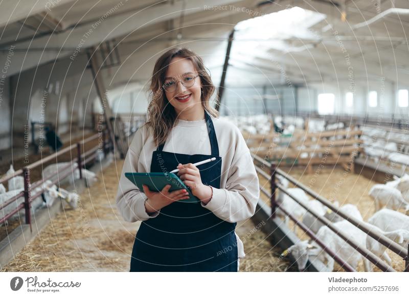 Vet doctor making notes in card about animals woman caucasian vet veterinary husbandry ranch veterinarian cattle livestock write young medicine health