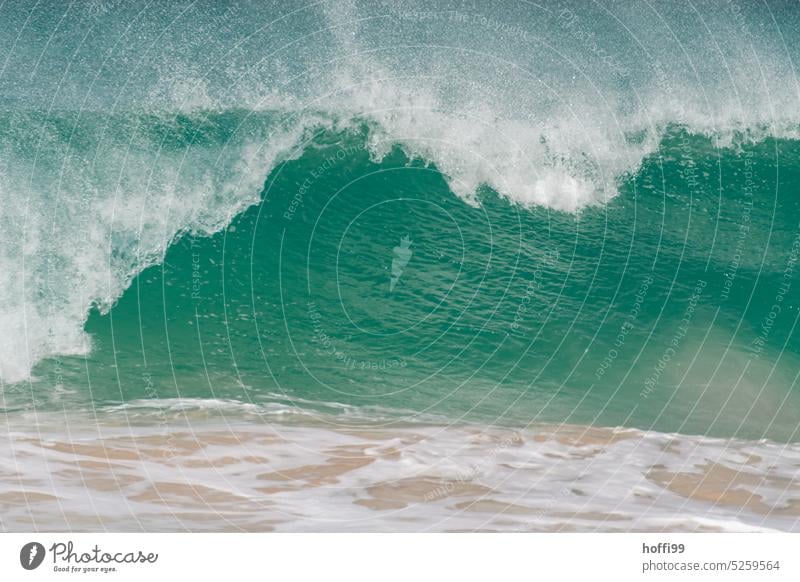 A big wave breaks on the beach Waves Atlantic Ocean Summer Water White crest Swell Turquoise Surf Gigantic Strong Movement Energy Warmth Climate Cabo Verde Sal