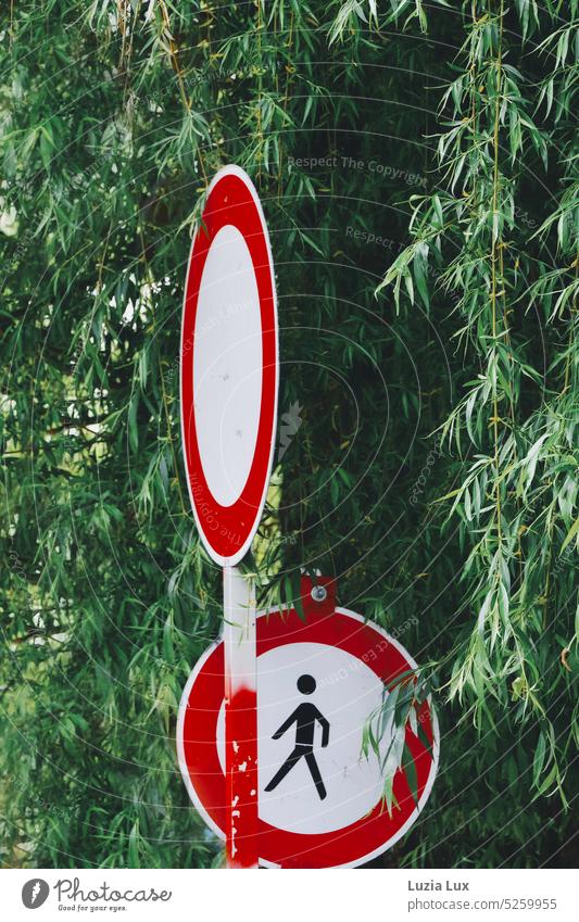 Red, green and white... Willow foliage and in front of it traffic signs in red and white, pedestrians may Willow tree Willow leaves Green Suspended