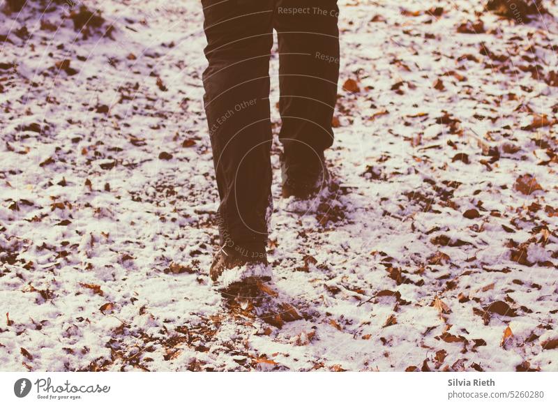 Legs of a walking person on a path covered with snow and leaves Winter Snow Tree Cold Ice Frost White Nature Exterior shot Landscape Forest Colour photo