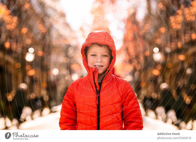 Happy boy in outerwear in autumn park smile calm alley season happy delight weekend coat daytime donostia san sebastian spain glad childhood kid serene vivid