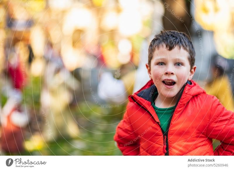 Amazed boy in autumn park amazed street city outerwear wow weekend portrait donostia san sebastian spain daytime season surprise casual kid child coat childhood