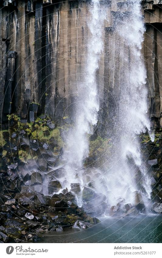 Powerful waterfall on rocky cliff splash landscape nature scenic lake iceland europe svartifoss destination power picturesque environment river pure