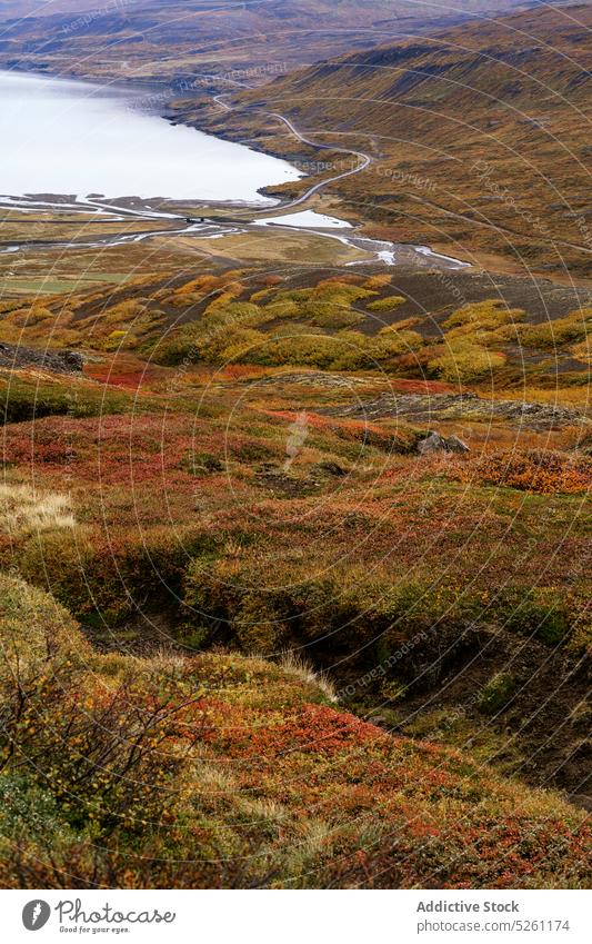 Picturesque landscape of valley near river lake autumn nature scenery scenic highland peaceful pond calm fall tranquil coast grass environment quiet serene