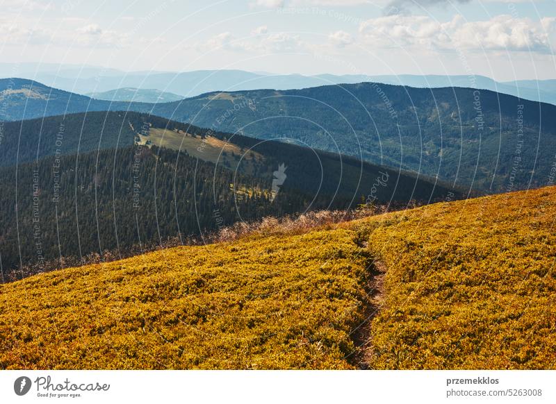 Mountain landscape. Scenic view of mountain peaks, slopes, hills and valleys covered with foggy slopes and valleys. Panoramic view nature trip vacation panorama