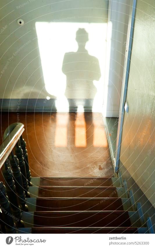 Shadow on the stairs sales Descent Downward Old building rail House (Residential Structure) Light Man Apartment house Human being Deserted apartment building