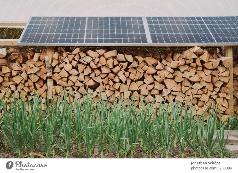 Homegrown vegetables and wood stock with firewood under solar panels in the garden wood supply Wood Firewood photovoltaics sustainability sustainable lifestyle